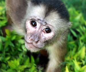 PROGRAM-PERU-AND-THE-AMAZON