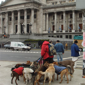 BUENOS AIRES