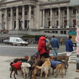 BUENOS AIRES (BREAKFAST)