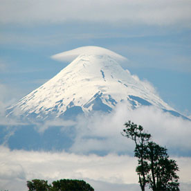 TOUR ANCUD - CHILE