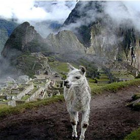 CUSCO: AGUAS CALIENTES - CUSCO