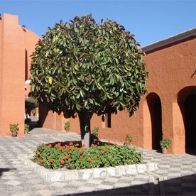 LIMA / AREQUIPA - City Tour - Santa Catalina Convent