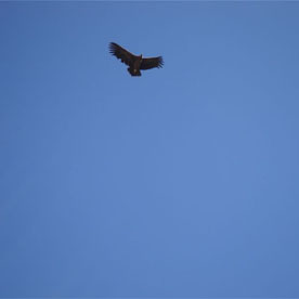 CONDOR'S CROSS - AREQUIPA