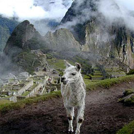 CUSCO: AGUAS CALIENTES - CUSC