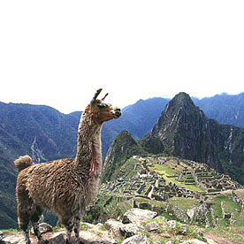 CALIENTES - MACHU PICCHU - CUSCO