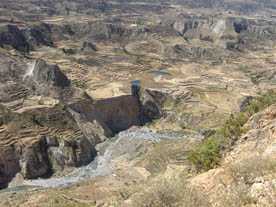 AREQUIPA: COLCA VALLEY