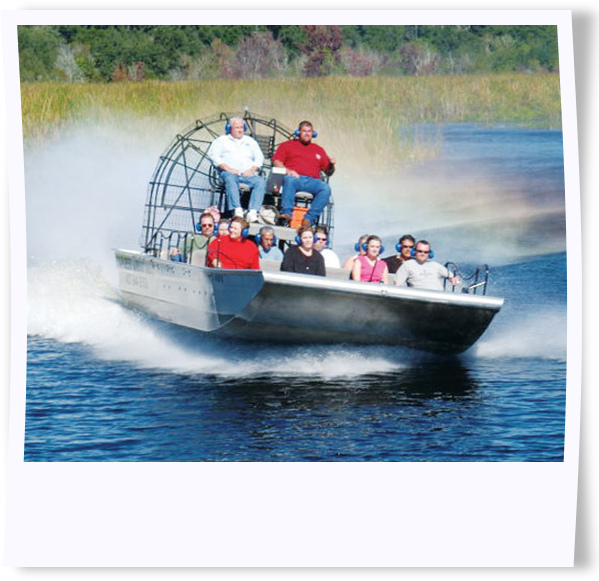 Combination Boat and Everglades Tour