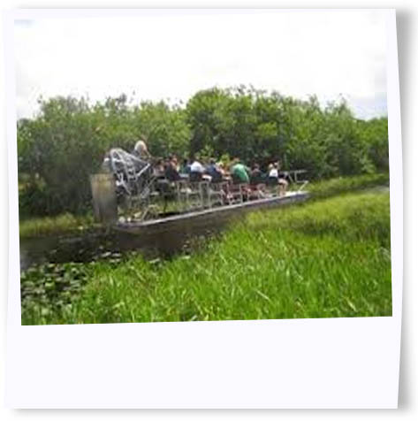 Everglades Tour