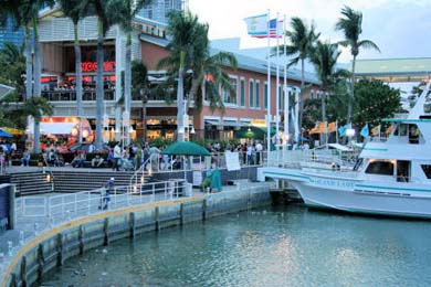 MIAMI: Visita de la Ciudad y Bahia